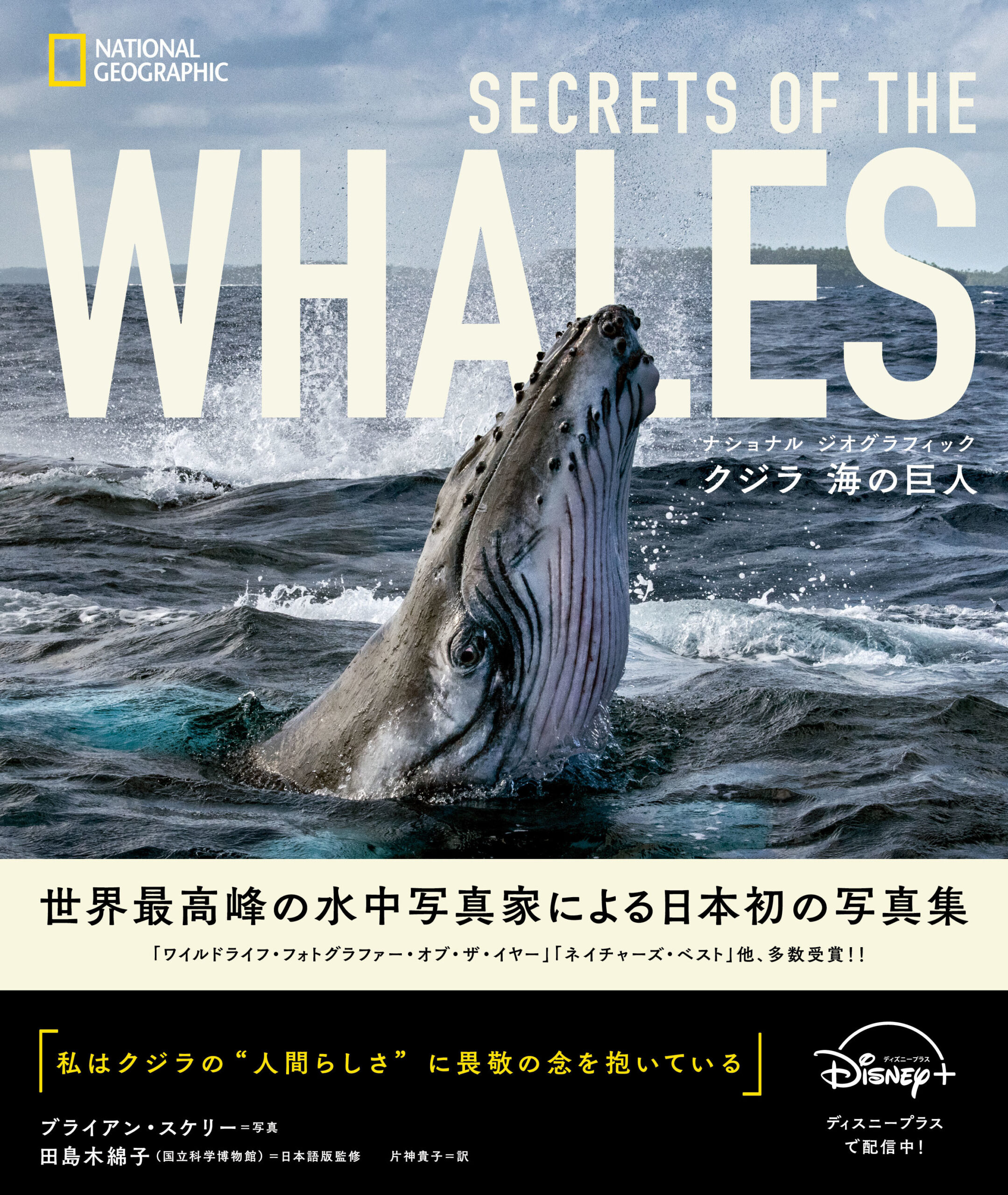 日本初】ナショナル ジオグラフィック、世界最高峰の水中写真家が撮影 